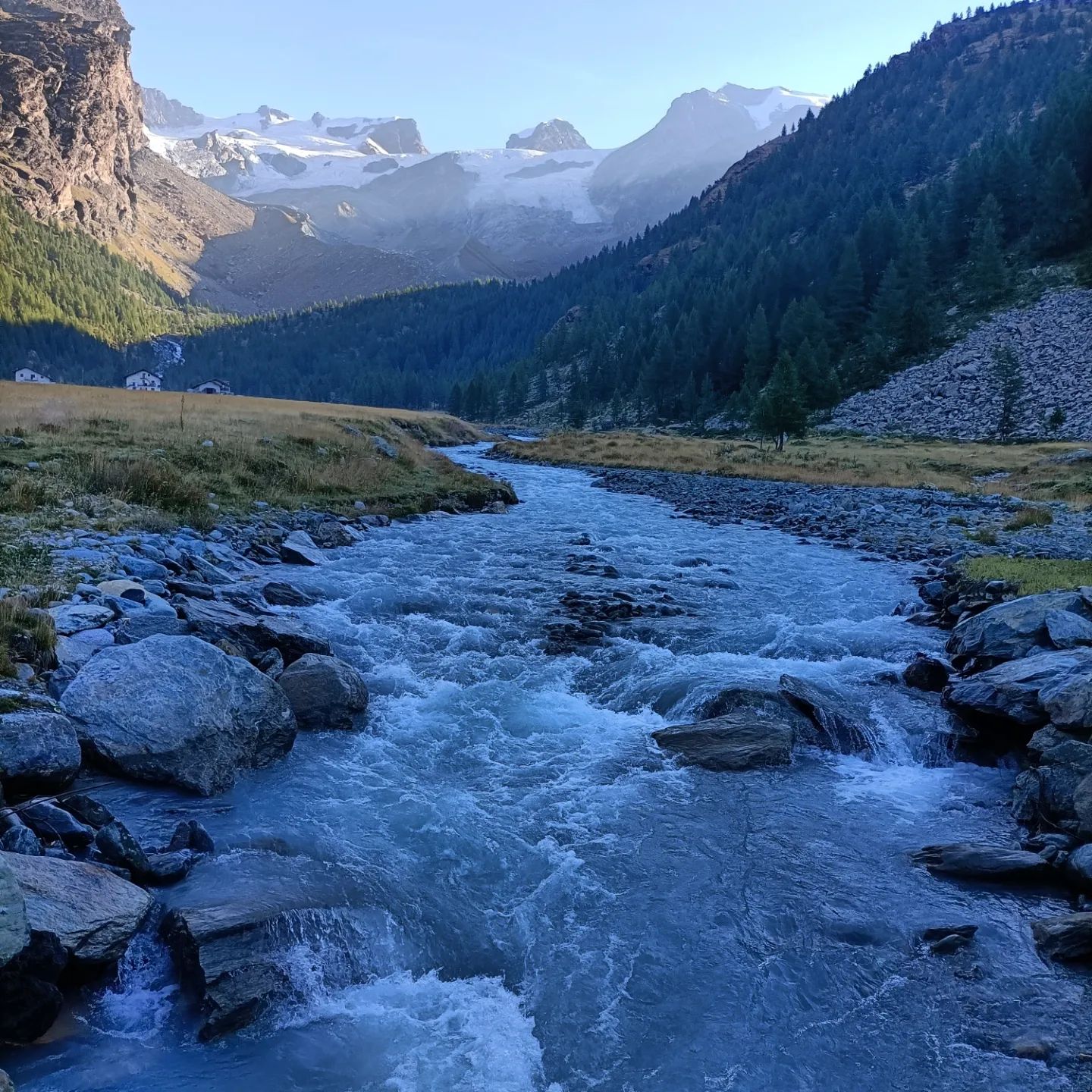 299033611 5250796531623807 3807516690005081288 n