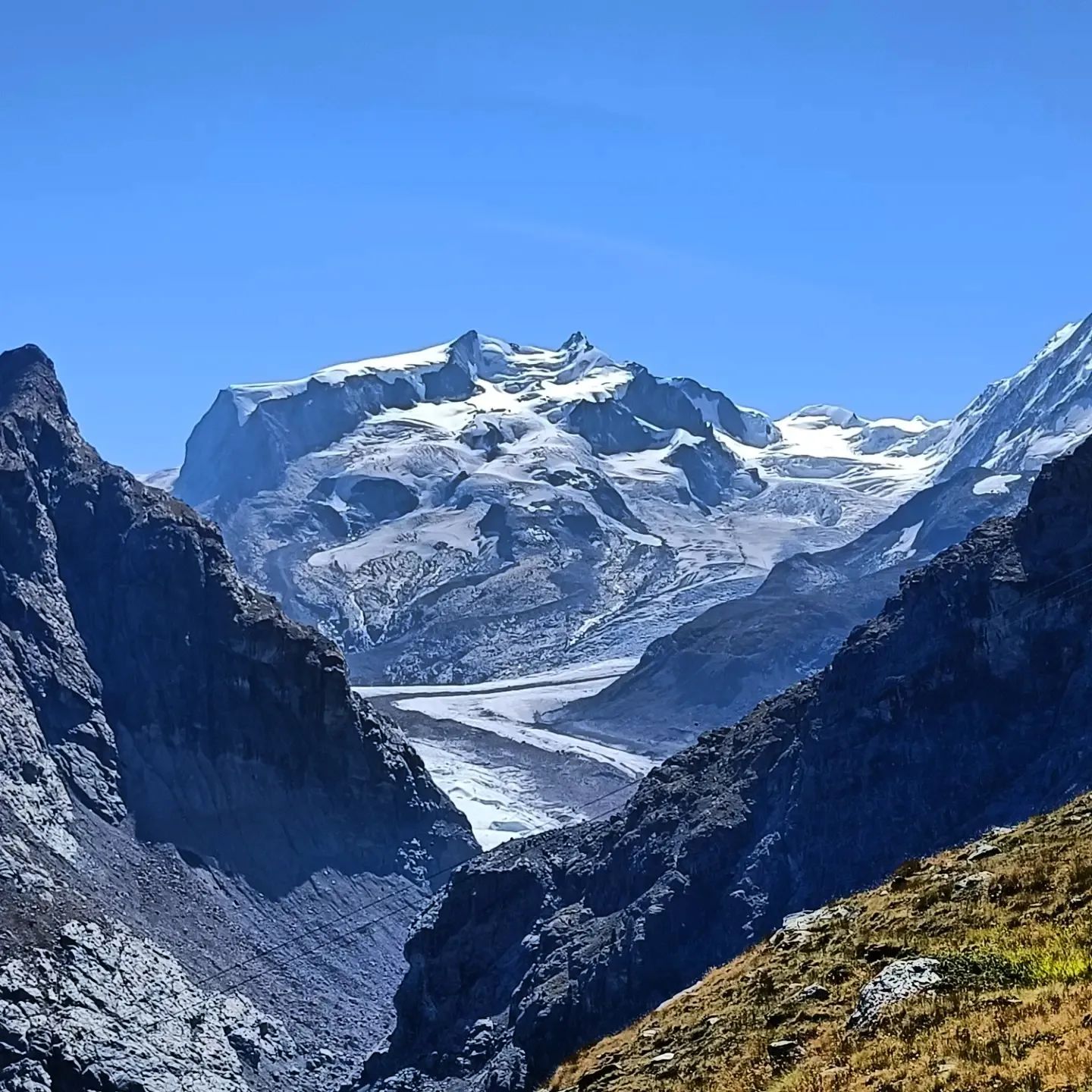 299187224 5250796541623806 8294287701673132587 n