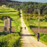 caminho de santiago