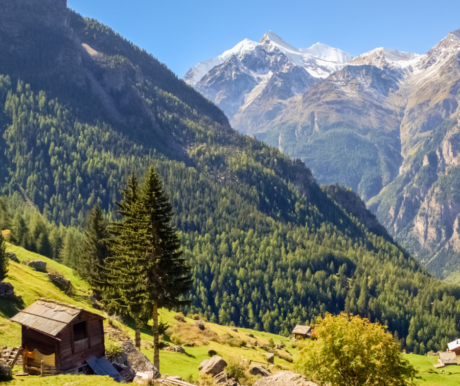uma casa numa encosta com árvores e montanhas ao fundo