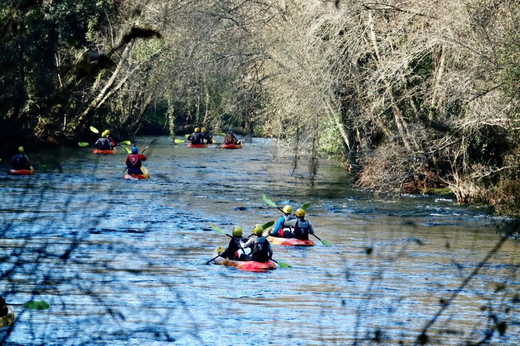 WhatsApp Image 2026 01 05 at 19.31.45